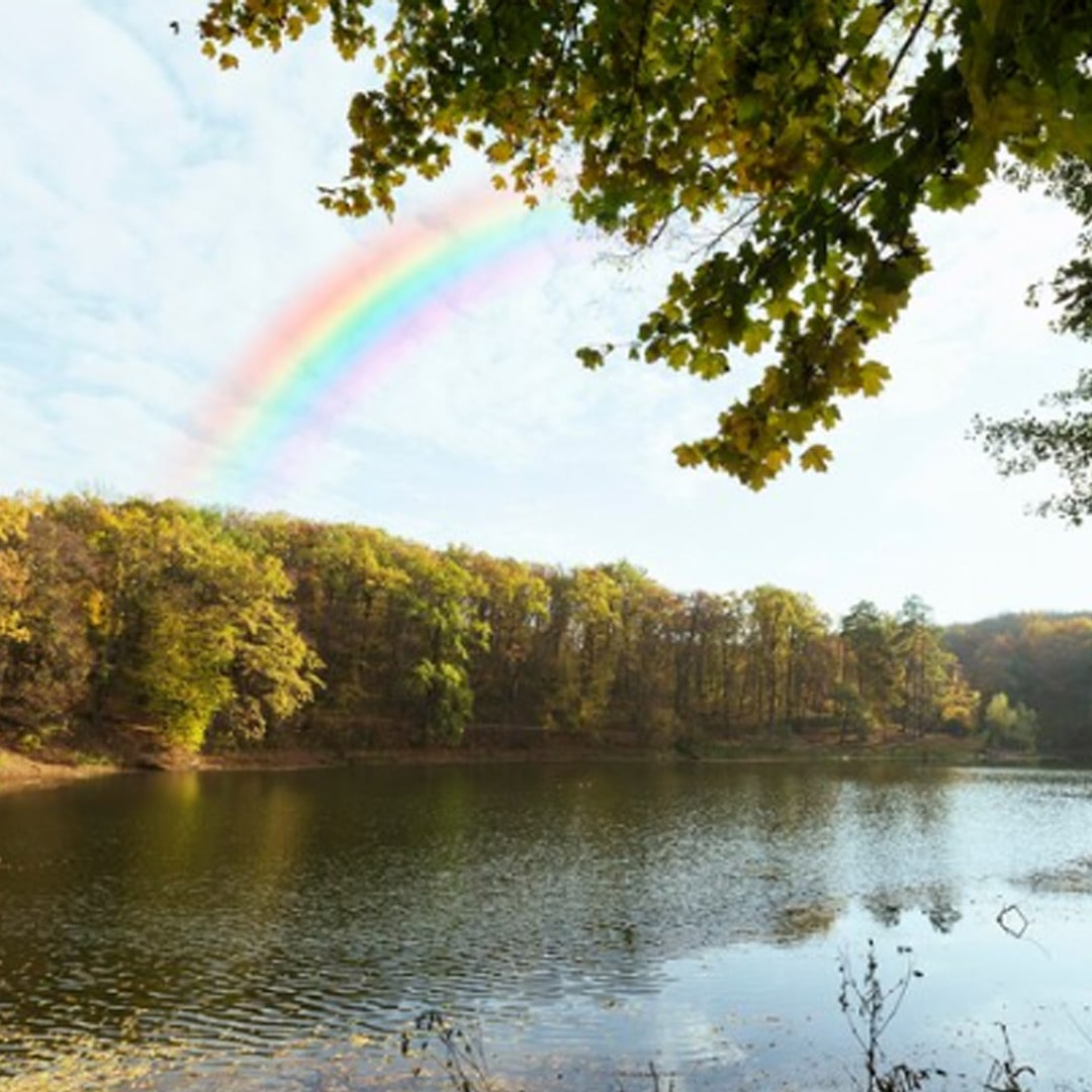 7 Colors of the Rainbow and Their Meanings