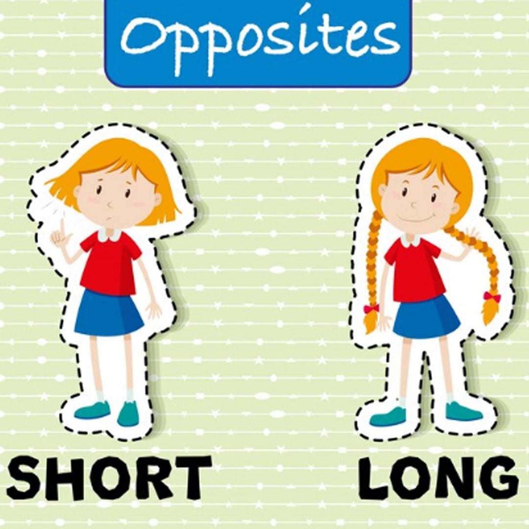 100+ Easy Opposite Words for Kids