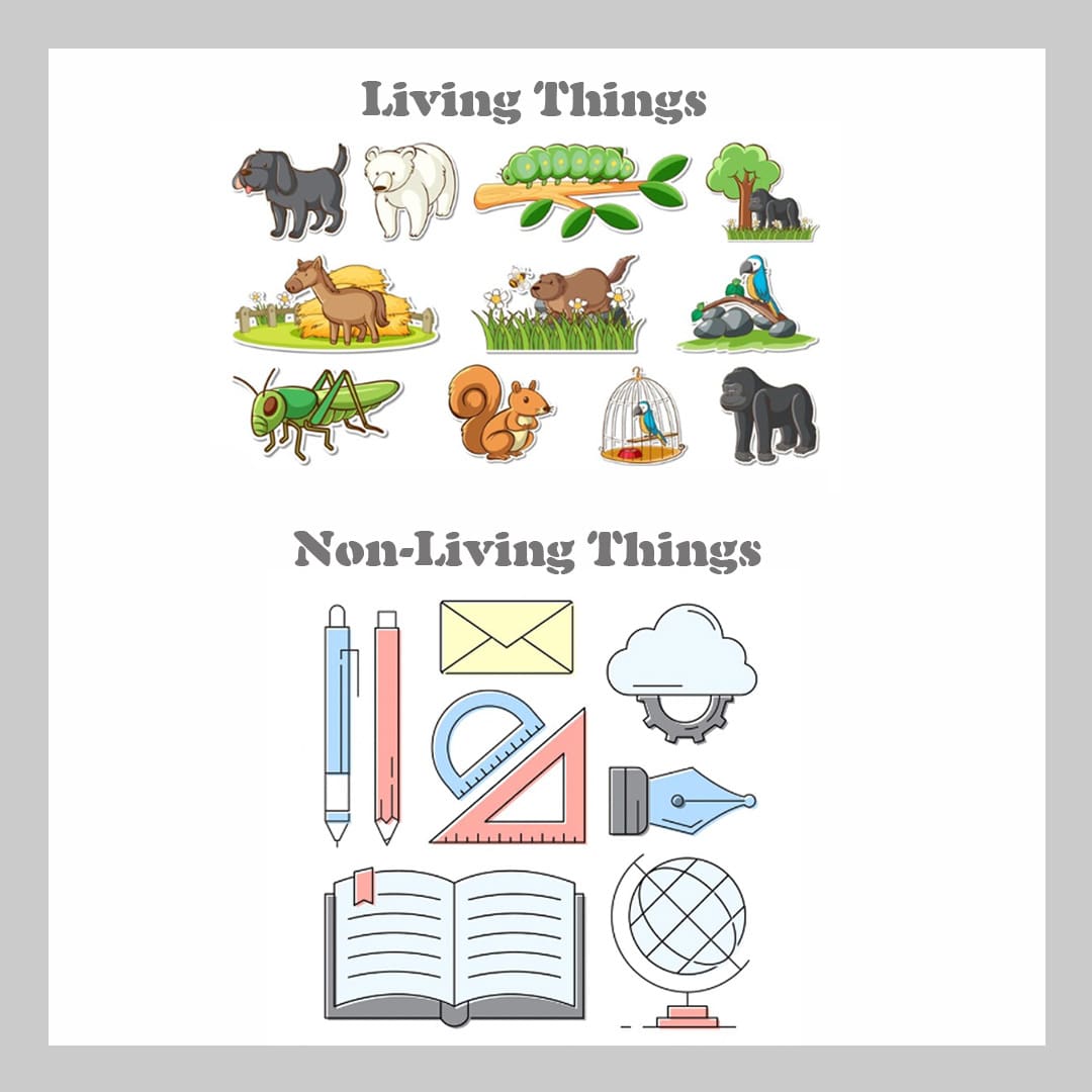 Living Things & Non-Living Things – Definition, Examples, And Characteristics
