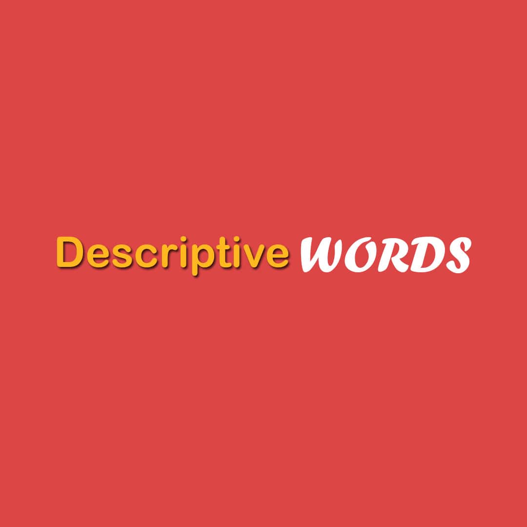 Descriptive Words: Everyday words for Kids to learn